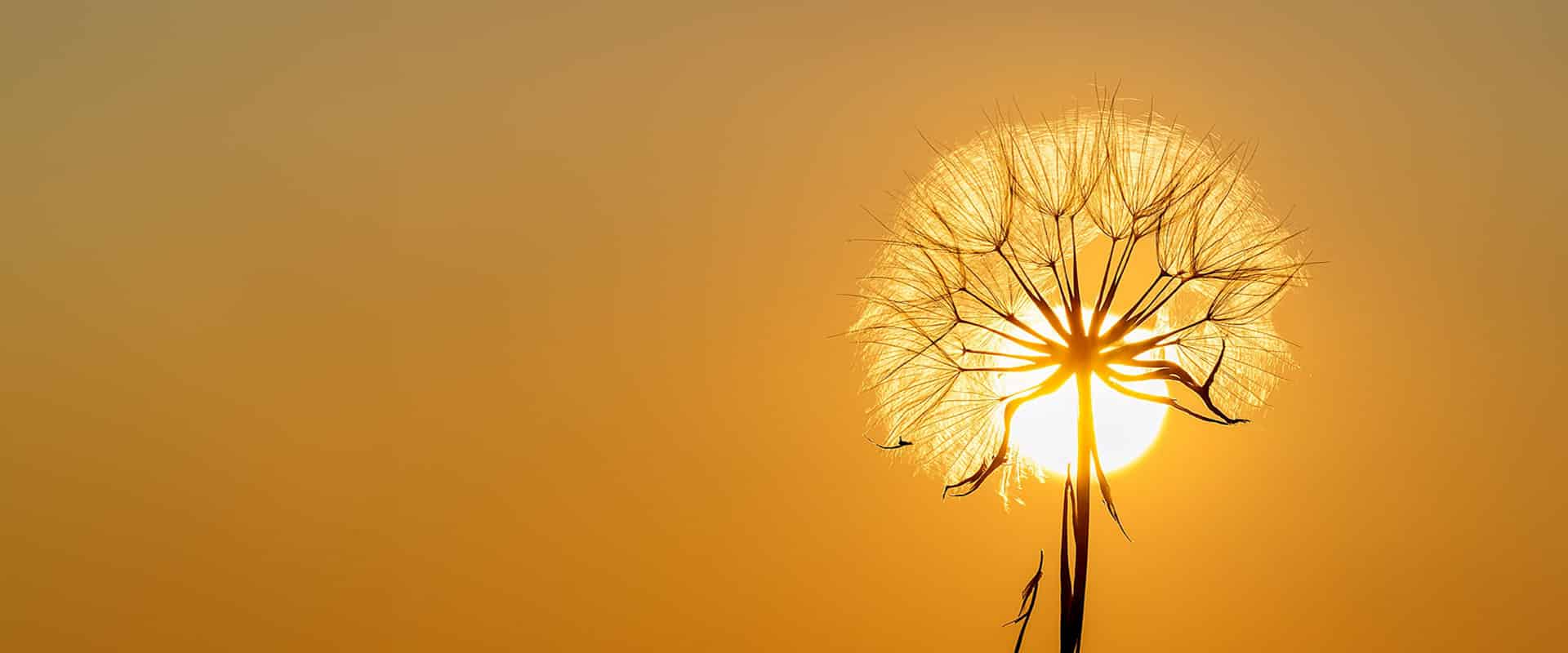 Vicini <strong class="strong-text-part">a voi</strong>